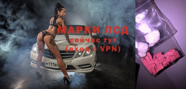 дживик Белокуриха