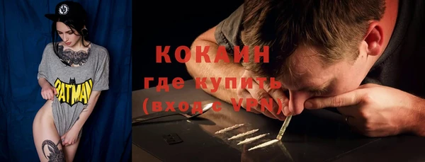 дживик Белокуриха