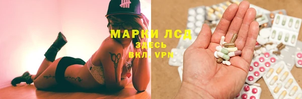 соль ск Богородицк