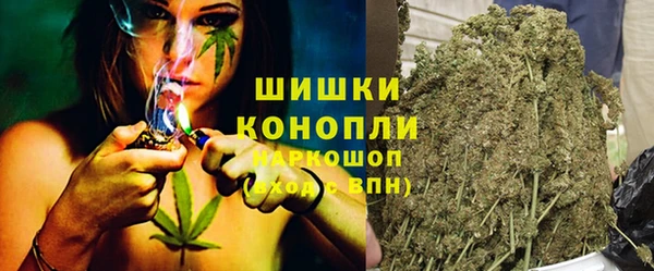 дживик Белокуриха