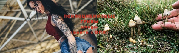 apvp Белоозёрский